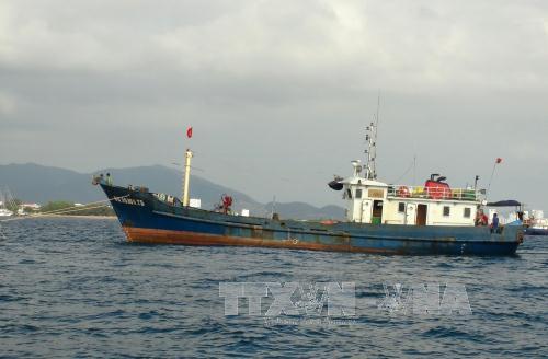 Cứu hộ và lai dắt tàu cá hỏng máy về cảng an toàn ảnh 1